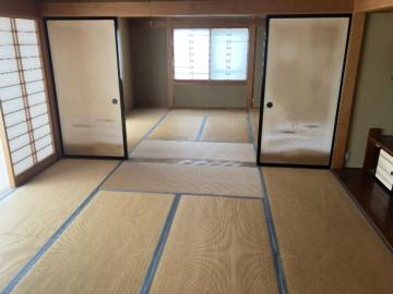 居室(2026年5月)
