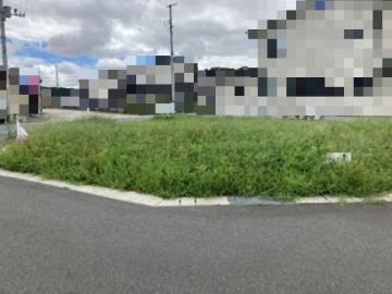 現地土地写真(2026年8月)