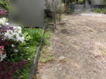 現地土地写真(2025年5月)