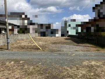 現地土地写真(2025年3月)