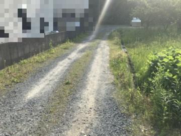 前面道路含む現地写真(2025年5月)
