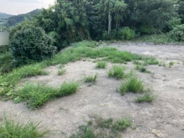 現地土地写真(2025年8月)