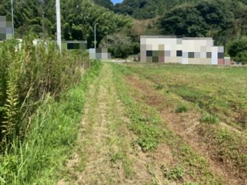 現地土地写真(2025年9月)