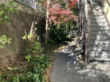 その他共用部(2025年11月)