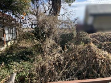 現地土地写真(2026年2月)