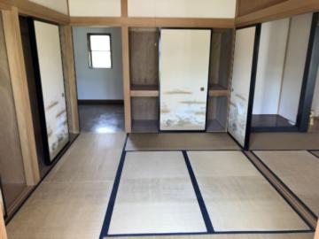 居室(2026年5月)