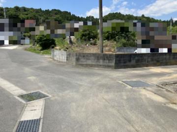 現地土地写真(2026年6月)