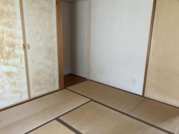 居室(2026年6月)